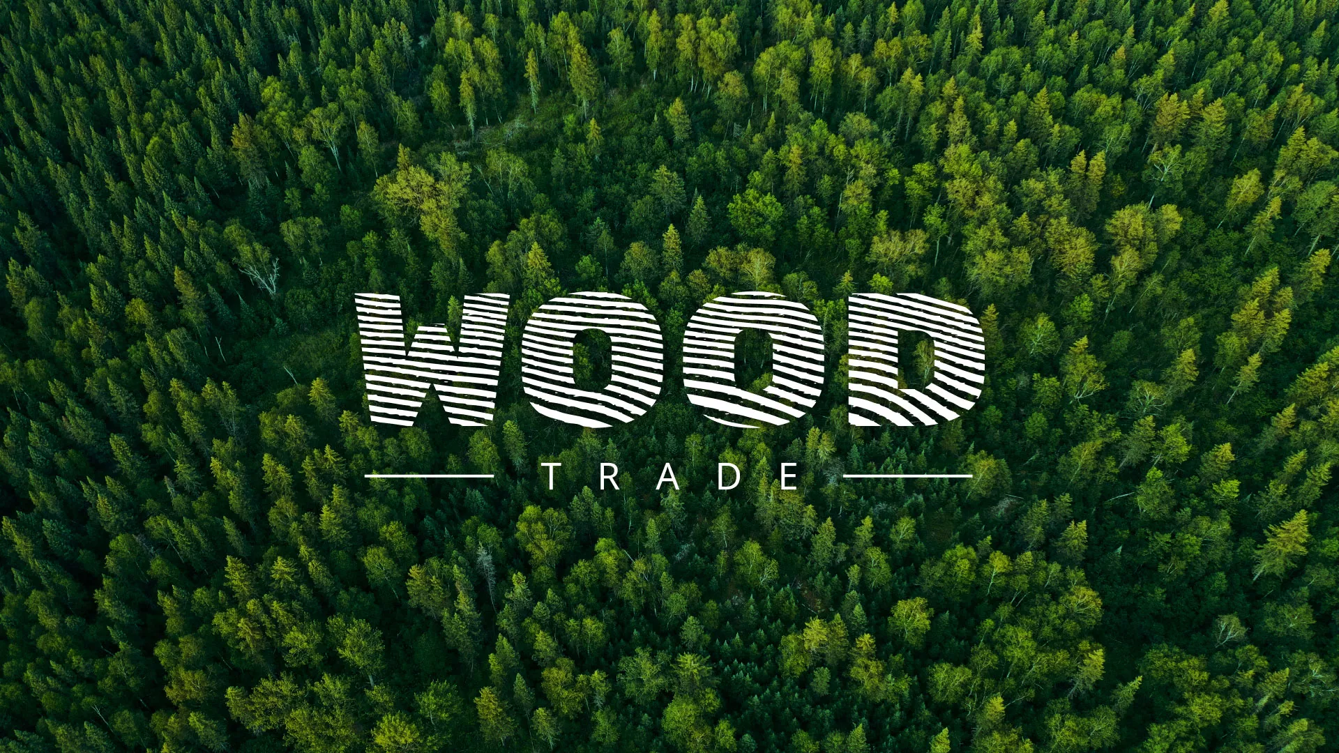 Разработка интернет-магазина компании «Wood Trade» в Солнечногорске
