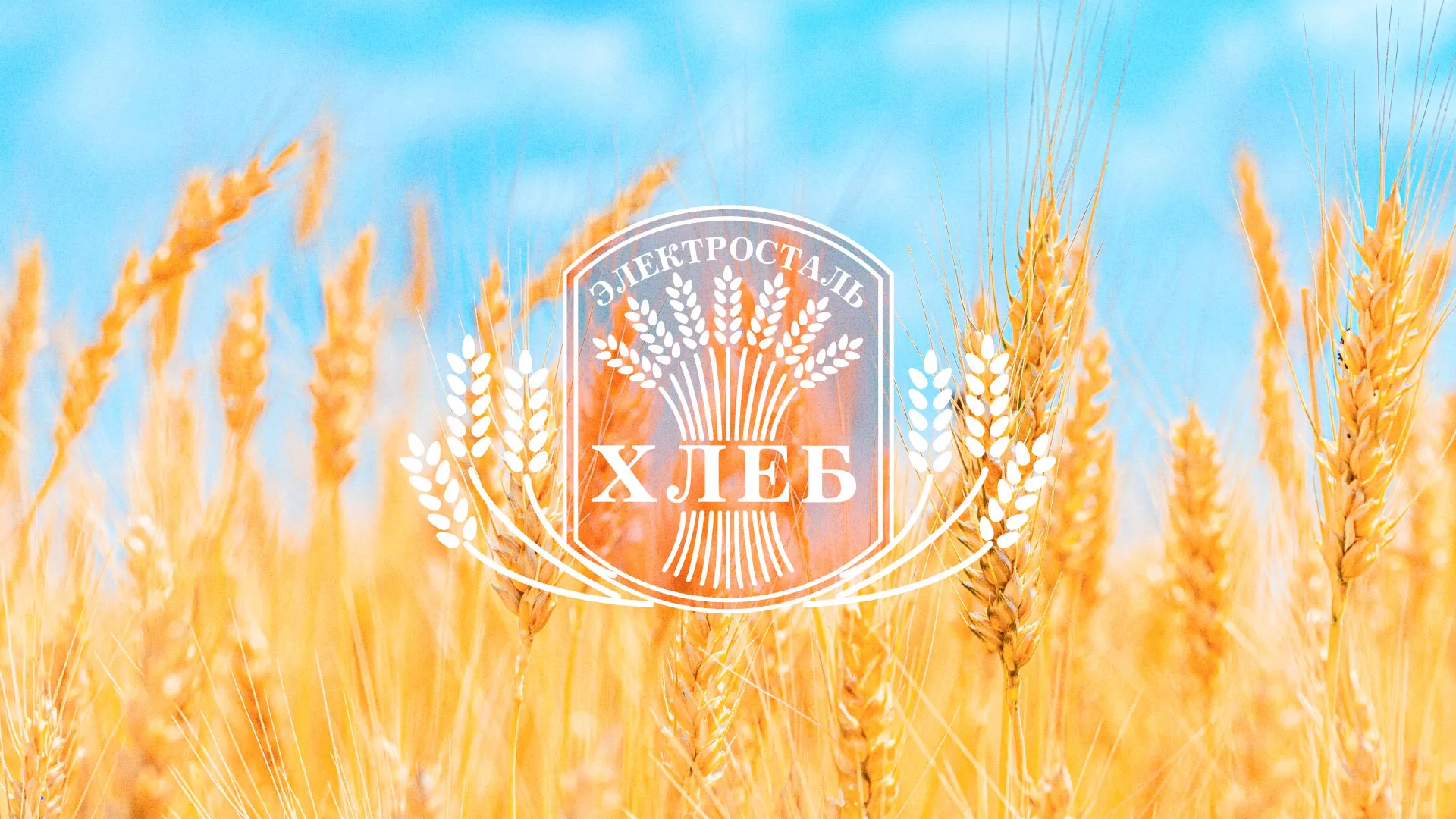 Создание сайта для хлебзавода в Солнечногорске