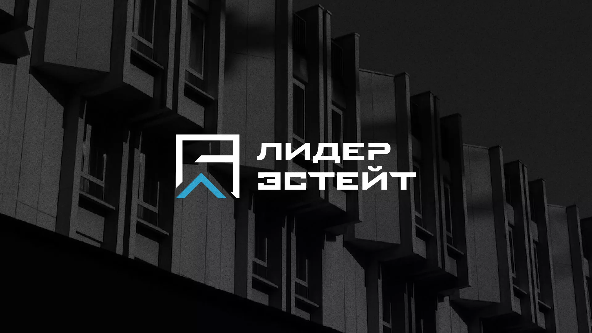 Разработка логотипа агентства недвижимости «Лидер Эстейт» в Солнечногорске